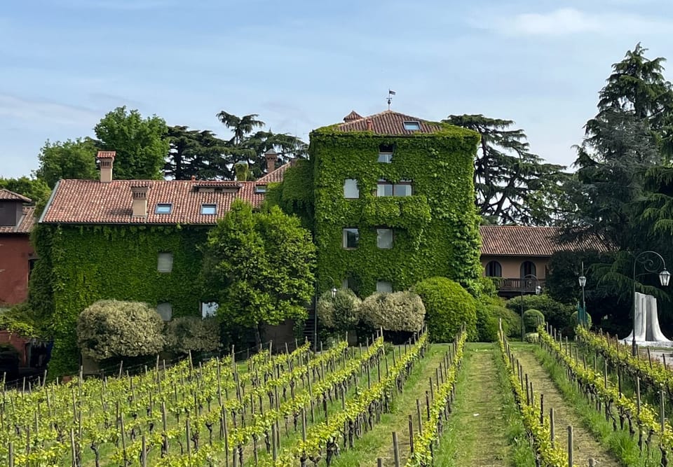L'Albereta Relais Châteaux et ses célèbres vignobles